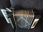 Parrot - - Klvieraccordeon - China (Zonder Minimumprijs), Nieuw