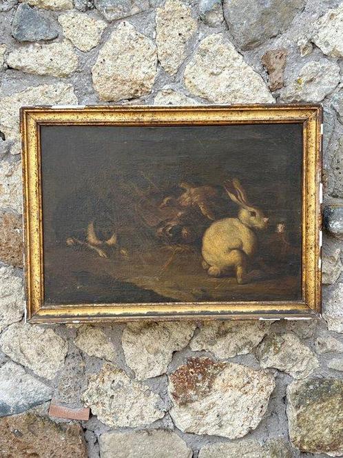 Arcangelo Resani (1670-1740), Toegeschreven aan - Conigli ed, Antiek en Kunst, Kunst | Schilderijen | Klassiek