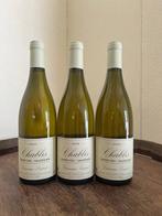 2020 Dominique Laurent. Vaudésirs - Chablis Grand Cru - 3, Verzamelen, Nieuw