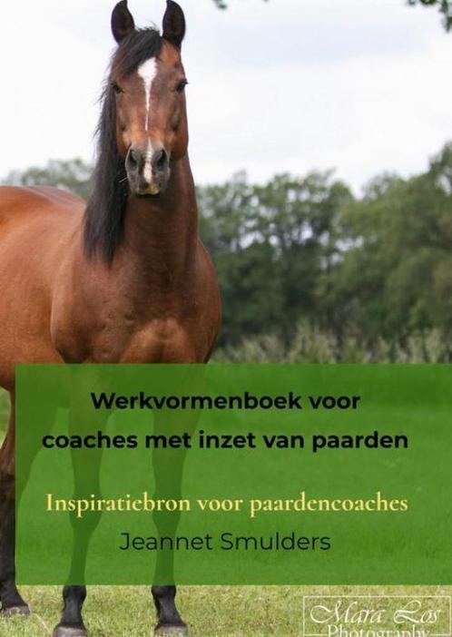 9789464923636 Werkvormenboek voor coaches met inzet van p..., Boeken, Studieboeken en Cursussen, Nieuw, Verzenden