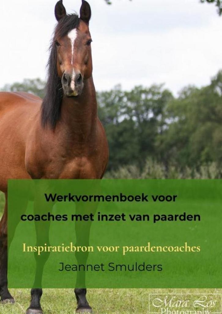 9789464923636 Werkvormenboek voor coaches met inzet van p..., Boeken, Studieboeken en Cursussen, Nieuw, Verzenden