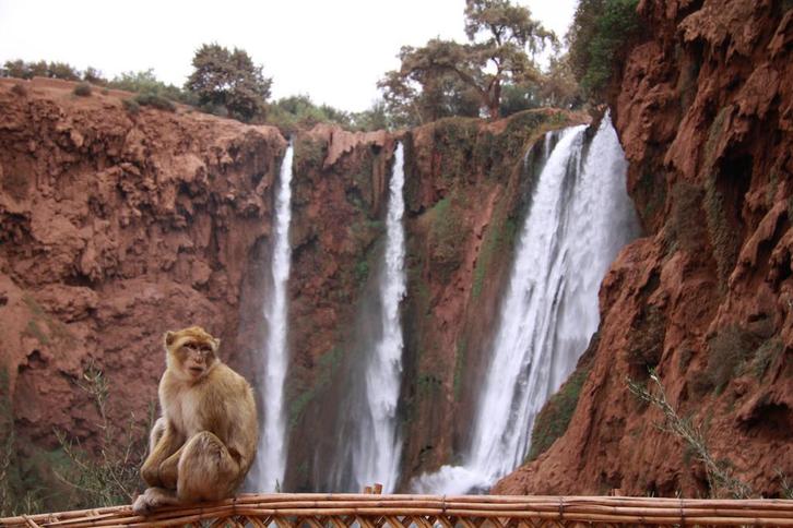 Cultuur én natuur groepsreis Marokko van 2 t/m 14 okt 2026, Vakantie, Vakantie | Groepen en Rondreizen