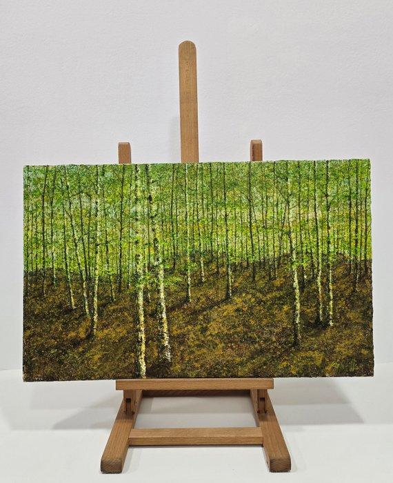 Enric Solanilla (1963) - Travesía verde, Antiek en Kunst, Kunst | Schilderijen | Modern