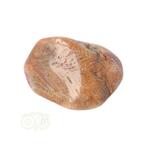 Fossiel Koraal trommelsteen Nr 22 - 20 gram, Nieuw, Verzenden