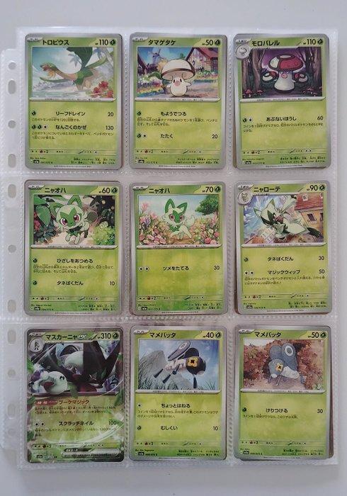 The Pokémon Company - 73 Complete Set - NO RESERVE - Triple, Hobby en Vrije tijd, Verzamelkaartspellen | Pokémon