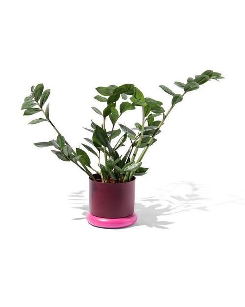 HEMA Bloempot Ø15.5cm metaal donut van €8.59 voor €3.5 sale, Huis en Inrichting, Kamerplanten, Verzenden