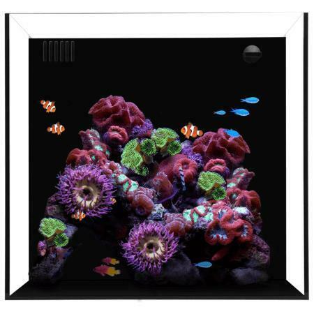 Waterbox Cube 20, Dieren en Toebehoren, Vissen | Aquaria en Toebehoren, Ophalen of Verzenden