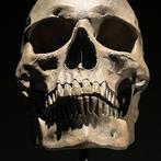 Beeld, NO RESERVE PRICE - Stunning human skull statue on a, Antiek en Kunst, Kunst | Designobjecten