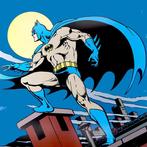 Il Cavaliere Oscuro - Insegna Pubblicitaria XXL Batman DC, Boeken, Strips | Comics, Nieuw