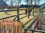 Schapenhek Kastanje hekwerk Engels hekwerk schapen hekwerk, Nieuw, Hout, Overige typen, Met poort