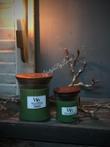 WoodWick Evergreen medium