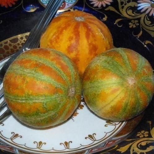 Queen Anns Pocketm Geurmeloen, Hobby en Vrije tijd, Knutselen, Nieuw, Ophalen of Verzenden