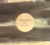 cd digi - The Green Apple Sea - Northern Sky, Southern Sky, Cd's en Dvd's, Cd's | Rock, Zo goed als nieuw, Verzenden