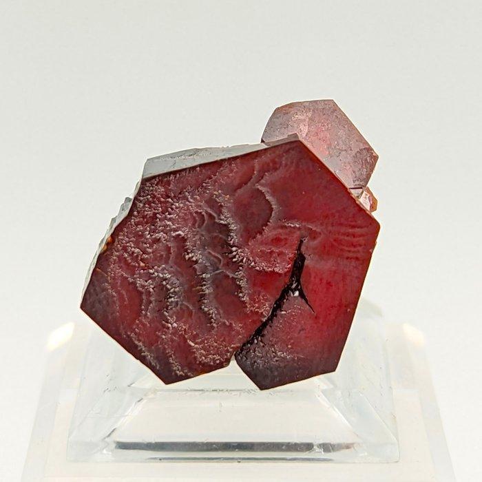 Vanadinite bloedrood, groot kristal Kristal - Hoogte: 29 mm, Verzamelen, Mineralen en Fossielen
