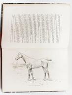 Comminges - Cheval de Selle - 1898