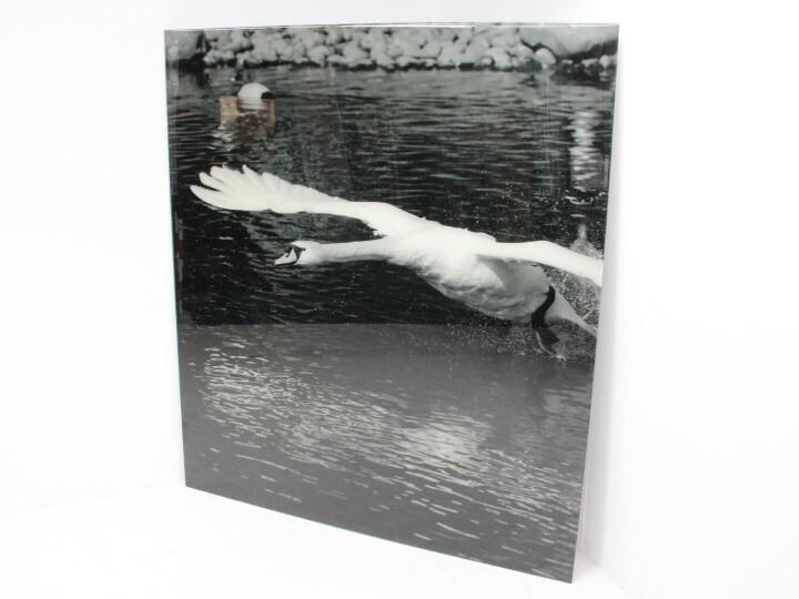 Wanddecoratie aluminium dibond - 203x181cm (hxb), Zakelijke goederen, Kantoor en Winkelinrichting | Kantoormeubilair en Inrichting