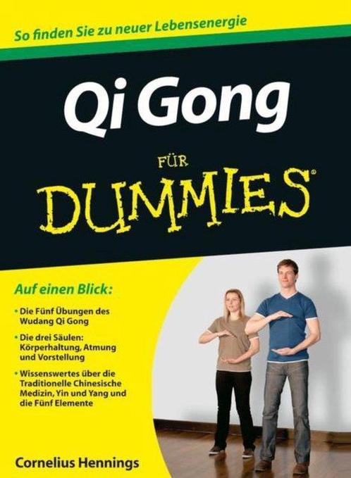 9783527706853 Qi Gong fur Dummies | Tweedehands, Boeken, Studieboeken en Cursussen, Zo goed als nieuw, Verzenden