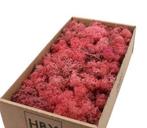 Rendiermos ijslandsmos pink/ oud roze +/- 500 gram, Nieuw, Ophalen of Verzenden