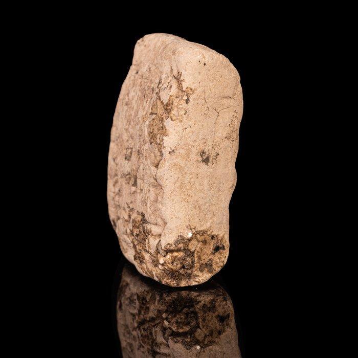 Sumerisch Klei-tablet met spijkerschrift (Zonder, Antiek en Kunst, Antiek | Overige Antiek