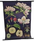 Lesmateriaal - Papier, Hout - 1970-1980 - Carte pédagogique, Antiek en Kunst