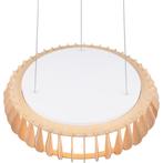 LED Hanglamp - Trion Emont - 40W - Aanpasbare Kleur -, Huis en Inrichting, Lampen | Hanglampen, Ophalen of Verzenden, Nieuw