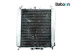 Radiateur Gilera Runner 125 VX 2005-2006 4T M46100, Motoren, Gebruikt