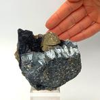 Goudgele octaëdrische pyriet in geode van ematiet, Brosso.