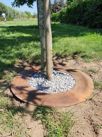 Wovar - Boomringen cortenstaal, Vanaf €34,99 beschikbaar voor biedingen