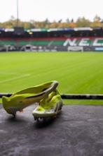 NEC Nijmegen - Nederlandse voetbal competitie - Brayann, Nieuw