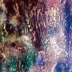 cd card - The Womb  - The Womb, Verzenden, Zo goed als nieuw