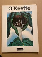 Georgia OKeeffe - Amerikaans Modernisme - Precisionisme, Ophalen of Verzenden, Zo goed als nieuw, Schilder- en Tekenkunst