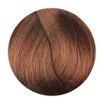 Fanola Color 100ml (Verf (permanent)), Verzenden, Nieuw