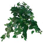 Hanger vuller 55cm. PHILO BUSH GREEN Groen e hangplanten, Ophalen of Verzenden, Nieuw