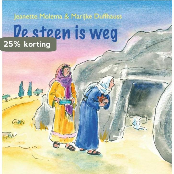 STEEN IS WEG, DE 9789086010738 Jeanette Molema, Boeken, Overige Boeken, Gelezen, Verzenden