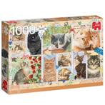 Jumbo Franciens Katten Cat legpuzzel 1000 stukjes, Hobby en Vrije tijd, Ophalen of Verzenden, 500 t/m 1500 stukjes, Nieuw, Legpuzzel