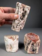 Fossiel hout - Gefossiliseerd hout - 12.5 cm - 6.5 cm