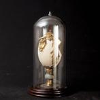 Decoratief ornament - onder glazen stolp - Goudgepatineerd