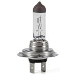 €1,95 Osram H7 Lamp Halogeen H7 12V 55W, Ophalen of Verzenden, Nieuw