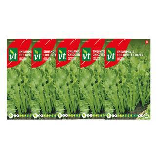 Andijviezaad | VT | 5 stuks (Fijne krul), Tuin en Terras, Bloembollen en Zaden, Verzenden