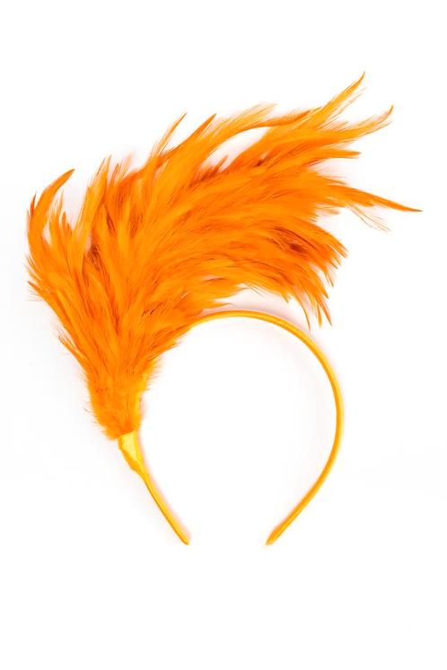 Haarband Veren Oranje Diadeem Veertjes Koningsdag Nederland, Kleding | Dames, Carnavalskleding en Feestkleding, Accessoires, Nieuw