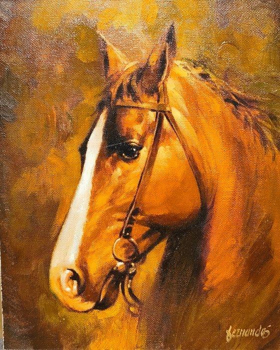 Fernando Fernández (Barcelona 1940-2010) - Cabeza de caballo, Antiek en Kunst, Kunst | Schilderijen | Modern