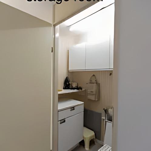 Appartement met 2 Slaapkamers aan de Leeuwstraat gevonden in, Huizen en Kamers, Huizen te huur, Direct bij eigenaar, Appartement