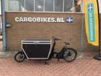 Bakfiets Urban Arrow XL, flightcase (525L) met garantie