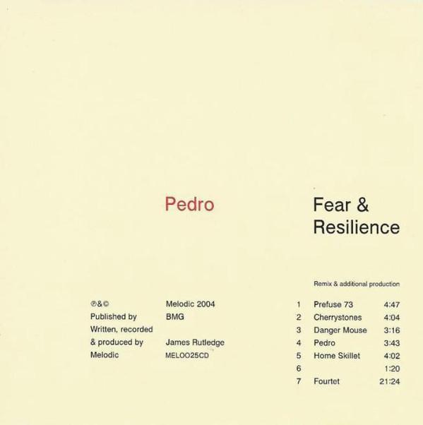 cd - Pedro - Fear &amp; Resilience, Cd's en Dvd's, Cd's | Overige Cd's, Zo goed als nieuw, Verzenden