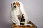 Always your Friend Rejuvenation Conditioner 250ML (Hond), Dieren en Toebehoren, Ophalen of Verzenden, Nieuw