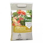 POKON ANTHURIUM GROND 5 LITER (PLANT & ZORG), Ophalen of Verzenden, Overige typen