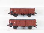 Brawa H0 - 48400 - Modeltrein goederenwagon (2) - 2 Open bak, Hobby en Vrije tijd, Modeltreinen | H0, Nieuw