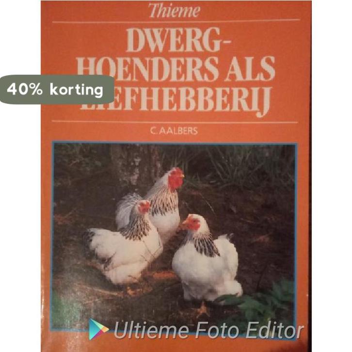 DWERGHOENDERS ALS LIEFHEBBERIJ / VOGELS 9789052101156, Boeken, Hobby en Vrije tijd, Gelezen, Verzenden