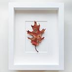 Itamar Yehiel - Oak Leaf