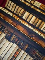 Antiek en realistisch Libreria-tapijt van Artmaison -
